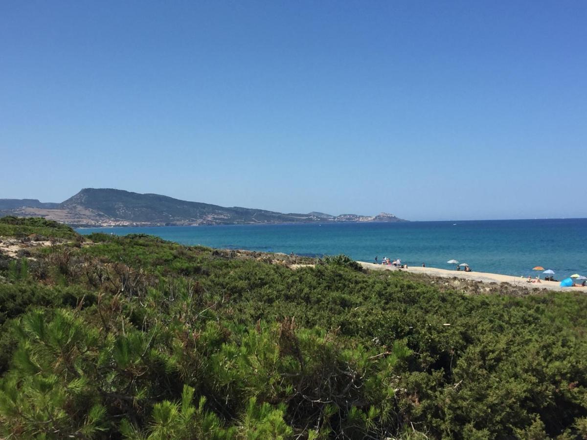 Willa Carrabean Sea In The North Of Sardegna, With Swimming Pool Viddalba Zewnętrze zdjęcie