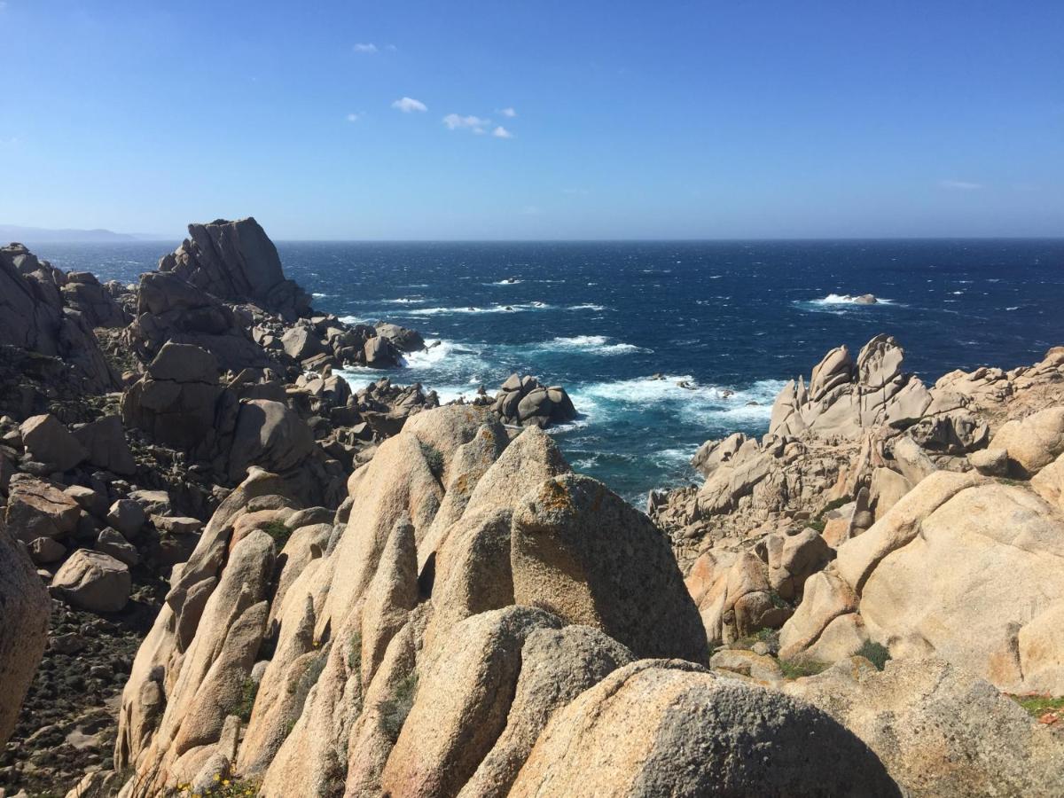Willa Carrabean Sea In The North Of Sardegna, With Swimming Pool Viddalba Zewnętrze zdjęcie