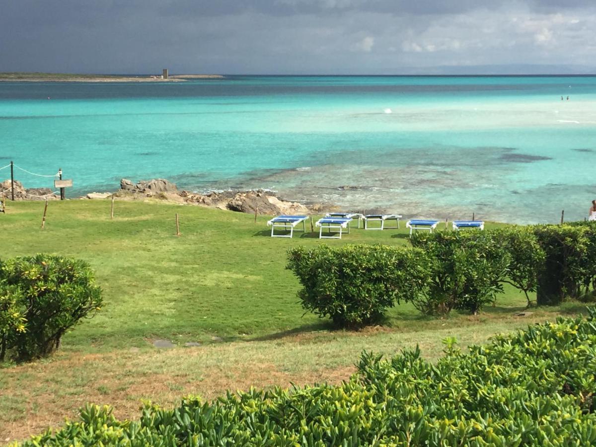 Willa Carrabean Sea In The North Of Sardegna, With Swimming Pool Viddalba Zewnętrze zdjęcie