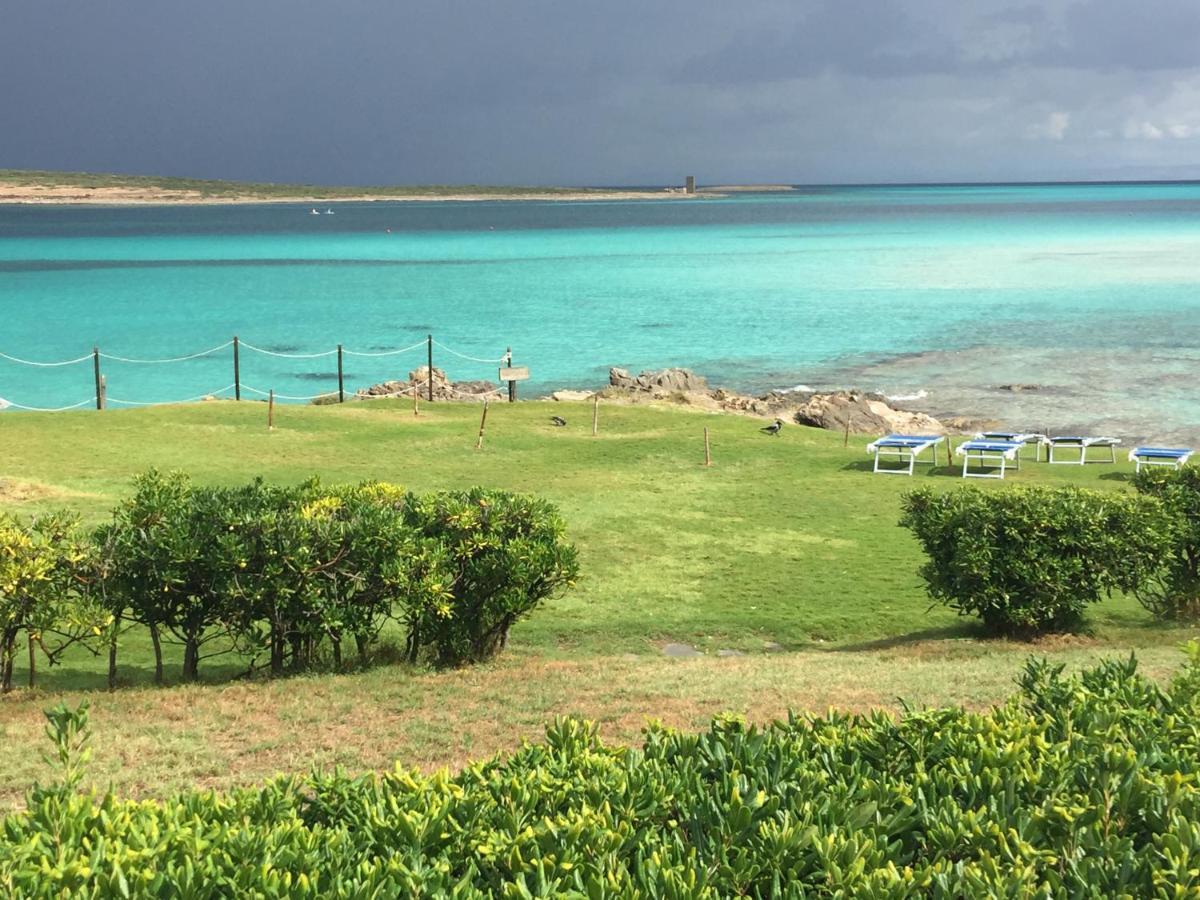 Willa Carrabean Sea In The North Of Sardegna, With Swimming Pool Viddalba Zewnętrze zdjęcie