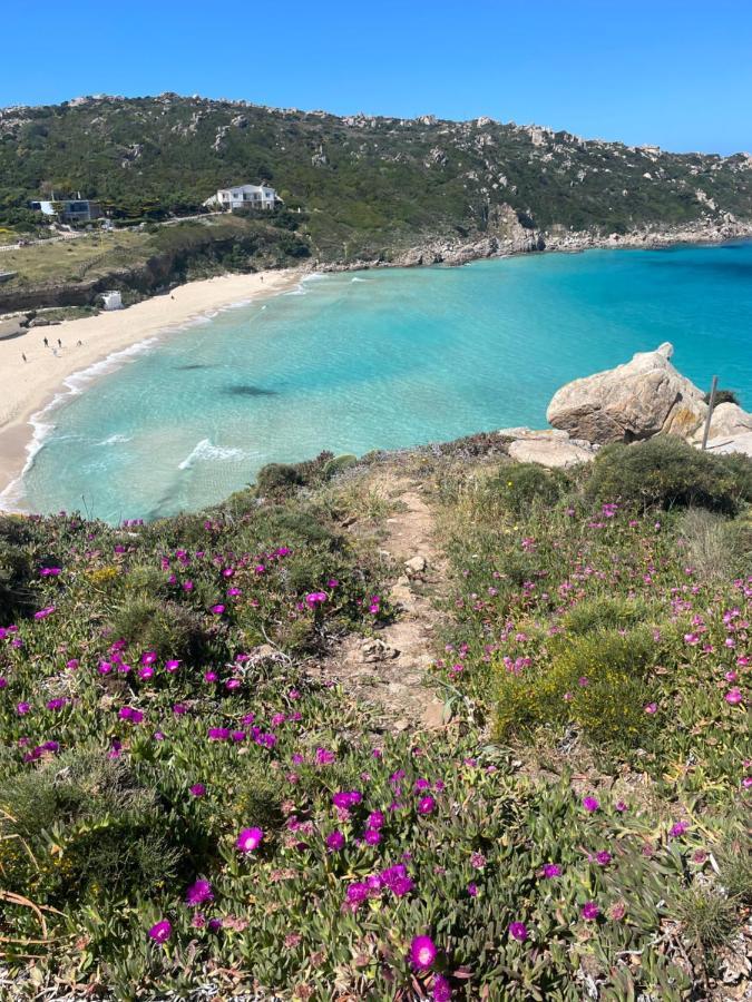 Willa Carrabean Sea In The North Of Sardegna, With Swimming Pool Viddalba Zewnętrze zdjęcie