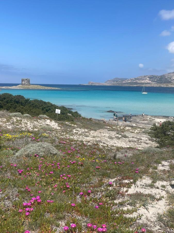 Willa Carrabean Sea In The North Of Sardegna, With Swimming Pool Viddalba Zewnętrze zdjęcie